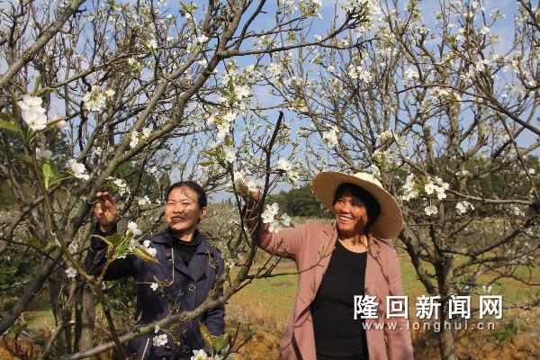 QQ图片20180329120322.jpg