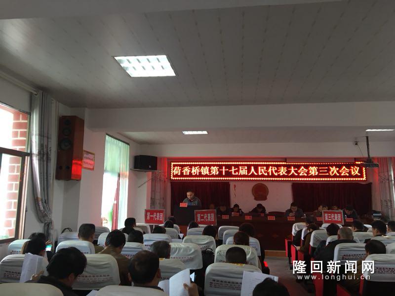 荷香桥镇第十七届人大第三次会议现场.JPG