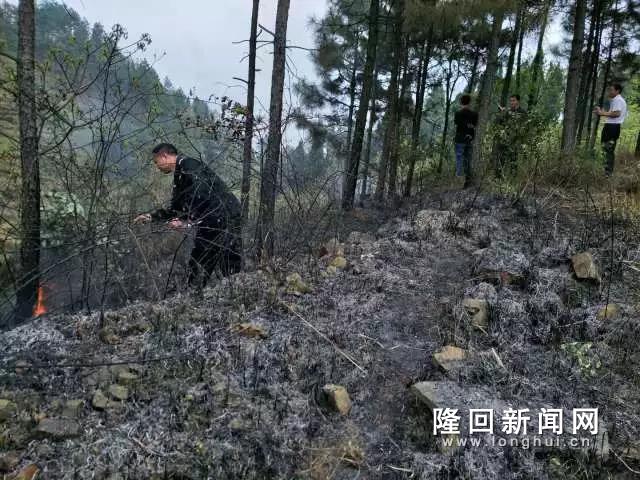 微信图片_20180404113234.jpg