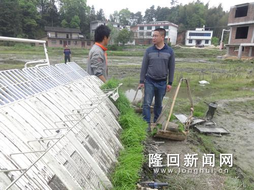 图为现场指导七江镇种粮大户陈庭乐在开展早稻机插作业.JPG