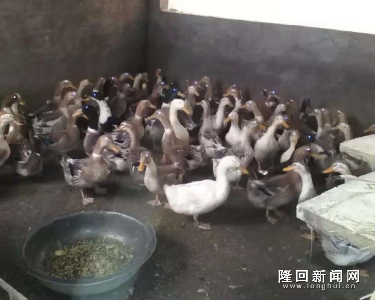 http://txy.redimg.cn/img/2018/11/11/075752.376269.1714.png