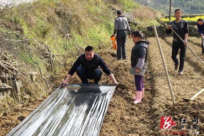 解放岩扶贫精准有道贫困户脱贫底气十足