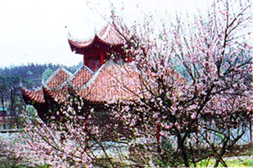 石门旅游指南