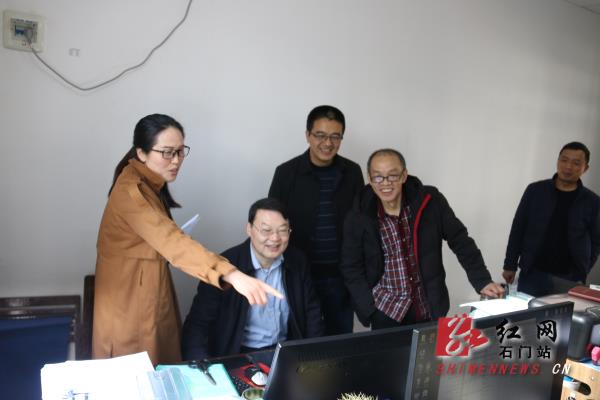 胡国亮来石调研统计调查工作