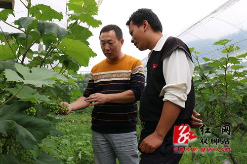 县政府办“送科技下乡”助推精准扶贫