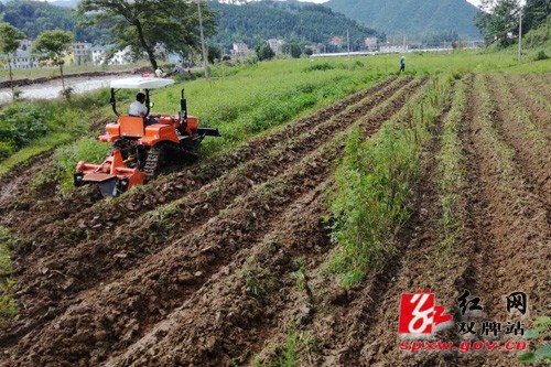 我县因地制宜抓好农业救灾补损工作