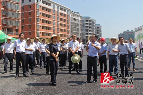 永州市“六大战役”重点项目建设流动现场会走进双牌