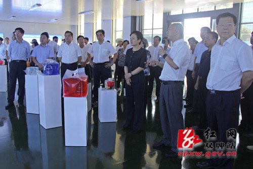 永州市“六大战役”重点项目建设流动现场会走进双牌