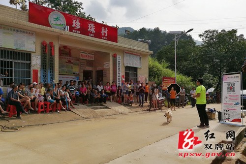 一网心连心 助圆小康梦