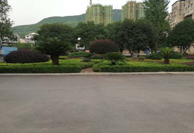 双牌县地税局倾力打造最美文明机关