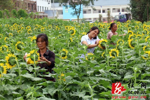 这个周末,去廖家村赴一场花的盛宴