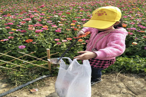 双牌县青年志愿者协会开展环保志愿服务活动