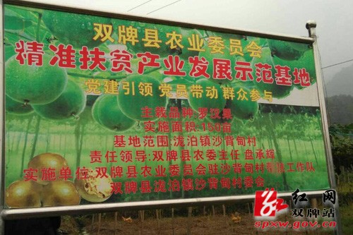 双牌县农委产业扶贫结硕果