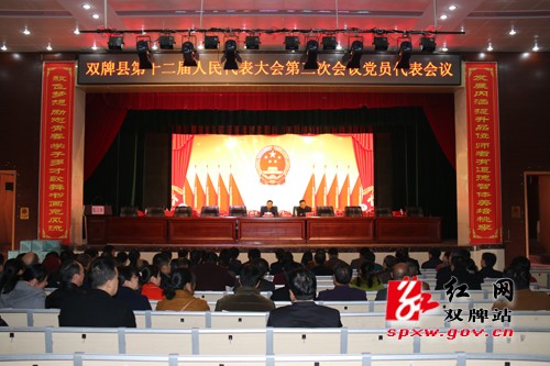 十二届人民代表大会第三次会议预备会议和党员代表会议