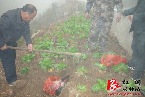 保护野生动物 我们在行动