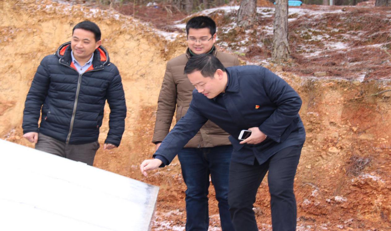 江村镇：“抗冰在行动”之—党委书记带队督查镇、村防雨雪冰冻天气工作