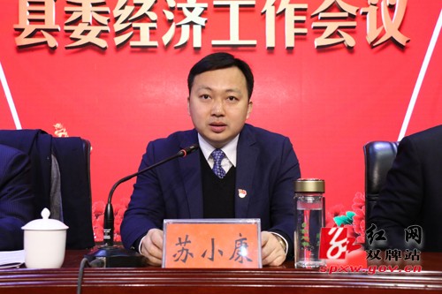 双牌县召开县委经济工作会议