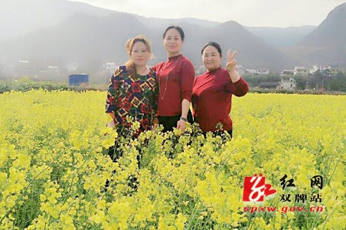 双牌:千亩油菜花盛开 只等你来嗨