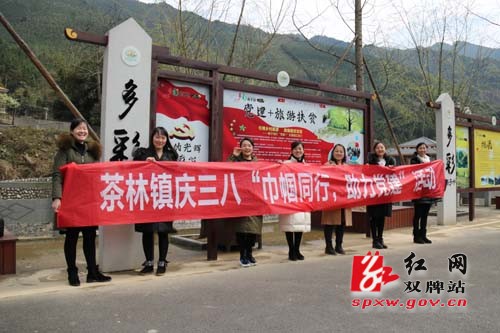 茶林镇开展庆“三八”巾帼同行 助力党建活动