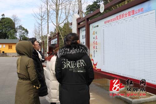 茶林镇开展庆“三八”巾帼同行 助力党建活动