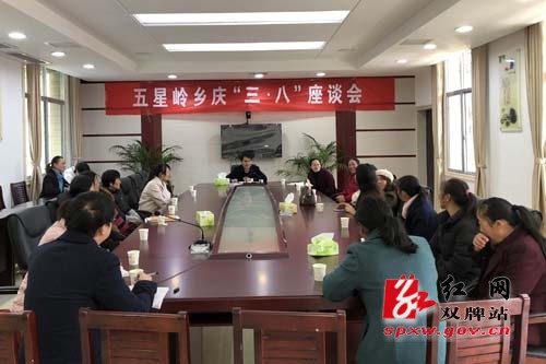 五星岭乡开展庆“三·八”妇女节主题活动