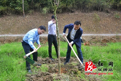 开展义务植树活动 为双牌增添新绿