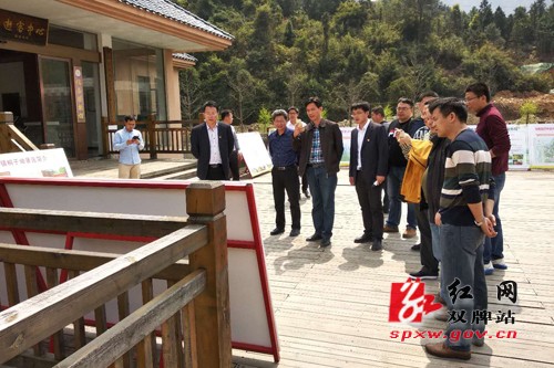 桂林市临桂区来双考察美丽乡村建设工作