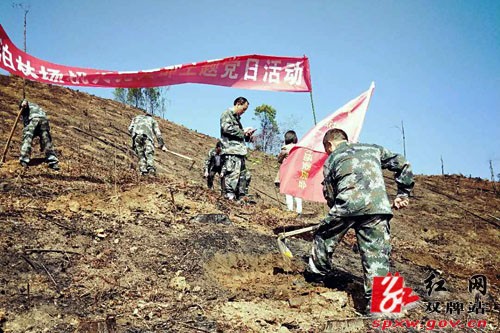 泷泊国有林场党委率领各支部认真开展党员主题日活动