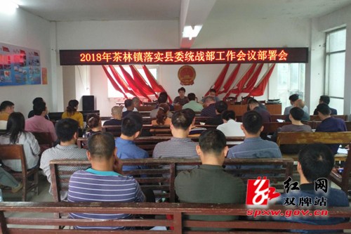 凝心聚力统一战线助力茶林镇乡村振兴工作