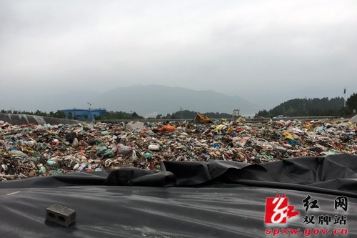 县财政投资评审中心:不怕脏乱臭,精准评审雨污分流
