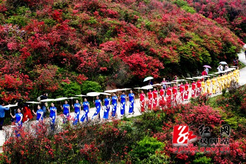 百名旗袍美女齐聚阳明山 展现女性魅力助推旅游发展