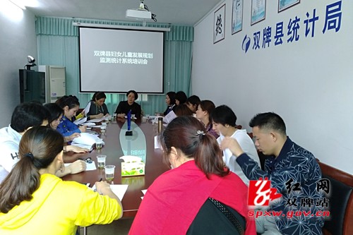 双牌召开妇女儿童发展规划监测统计培训会
