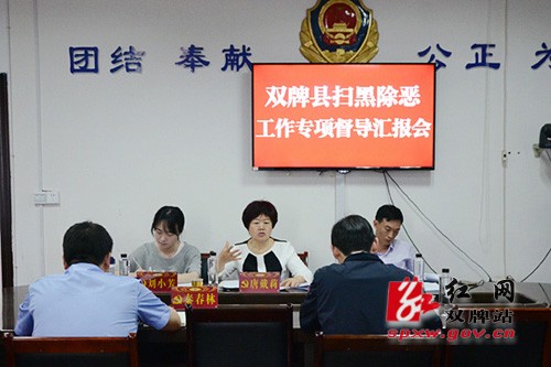 市委督导组深入双牌督导扫黑除恶工作