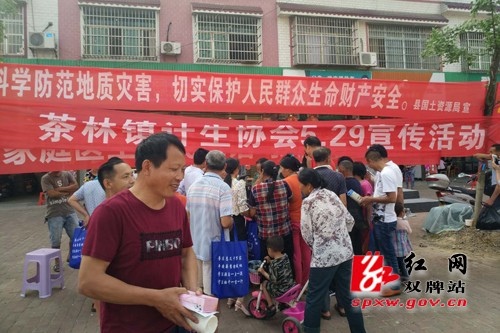 茶林镇开展“5·29计生协会会员活动日”宣传活动