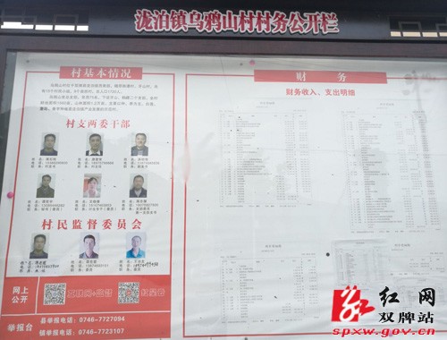 村村亮“家底” 人人来监督
