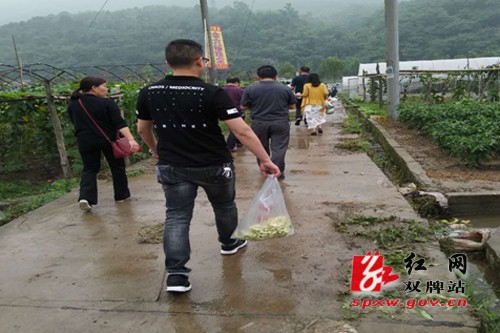 省级农产品质量安全第二次监督抽查组莅临双牌
