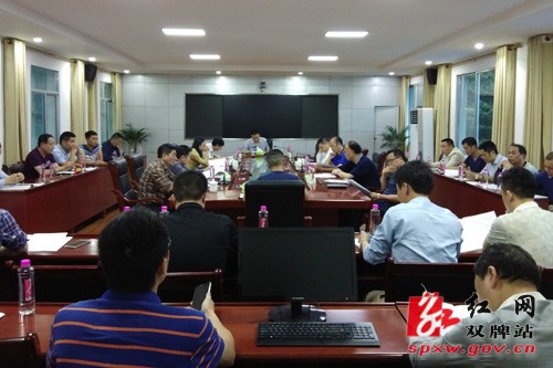 双牌:项目落地评审先行