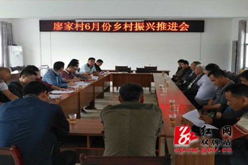 廖家村：集思广益深入推进乡村振兴工作