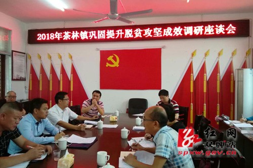 双牌县委党校深入茶林、麻江调研巩固脱贫提升工作