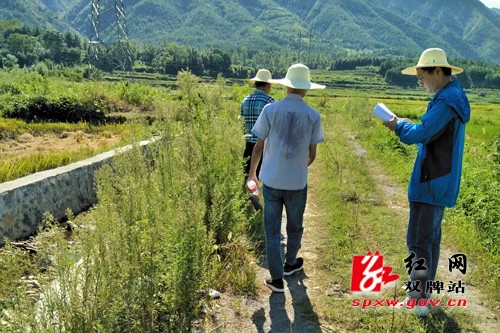 加强政府投资跟踪审计 促进项目规范化管理