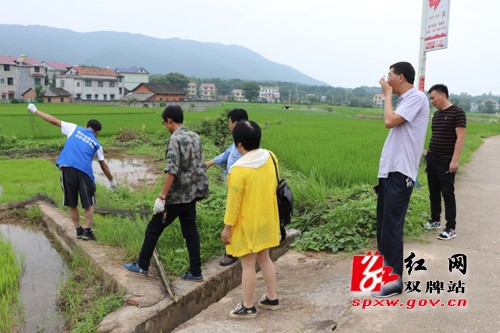同在蓝天下,人鸟共家园
