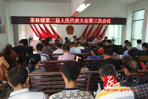 茶林镇第二届人民代表大会第三次会议胜利召开