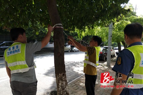 创文创卫出重拳,街道整治焕新颜