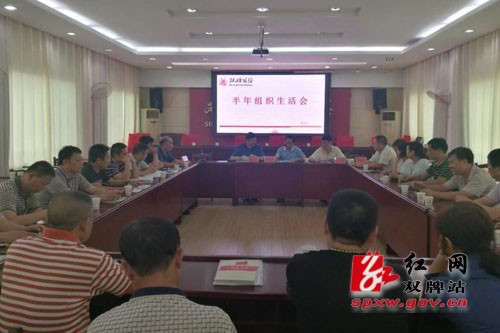 双牌：公路局开展好党的组织生活 加强党的作风建设