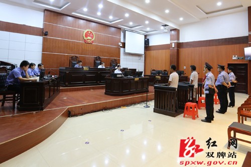 双牌法院:护卫绿水青山 依法审判二起滥伐林木案