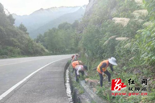 永连公路沿线洁美,助力乡村振兴