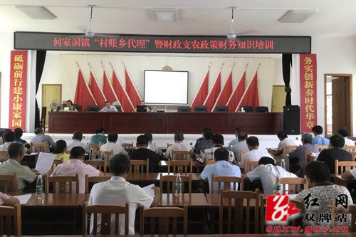 何家洞镇召开“村账乡代理”培训会议