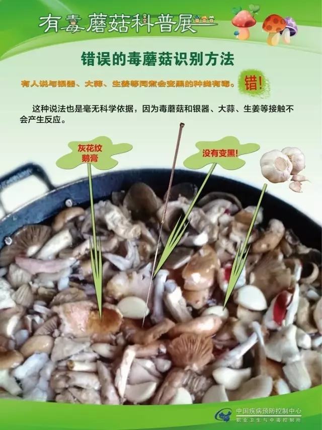 县疾控中心：有毒蘑菇科普，谨防中毒