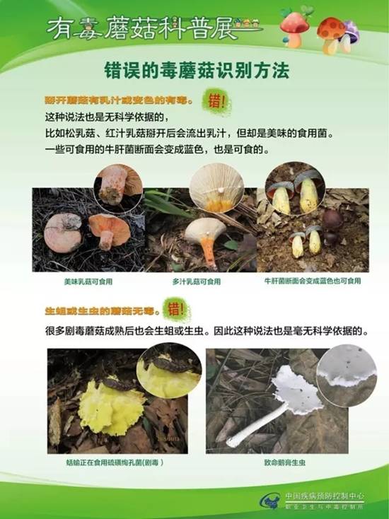 县疾控中心：有毒蘑菇科普，谨防中毒