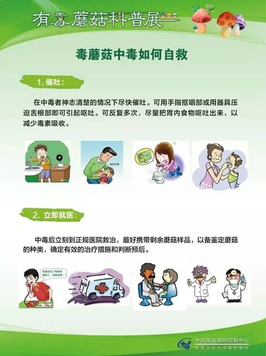 县疾控中心：有毒蘑菇科普，谨防中毒